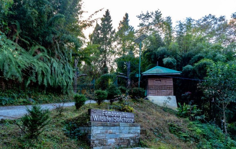 Fambong Lho Wildlife Sanctuary, East Sikkim, Sikkim - Vushii.com